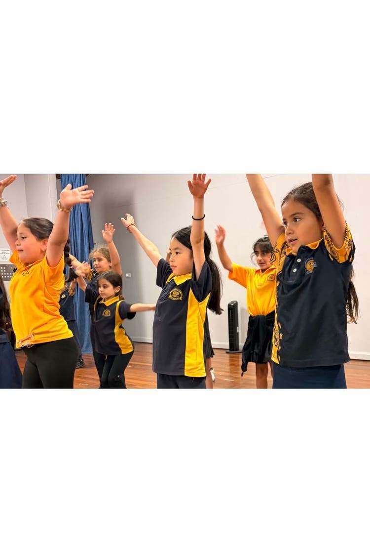 Student dance groups for school and network performances